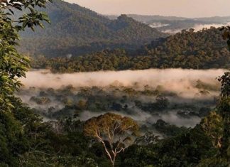 Lạc vào thung lũng Danum Malaysia, khám phá thiên nhiên hoang dã Lạc vào thung lũng Danum Malaysia, khám phá thiên nhiên hoang dã